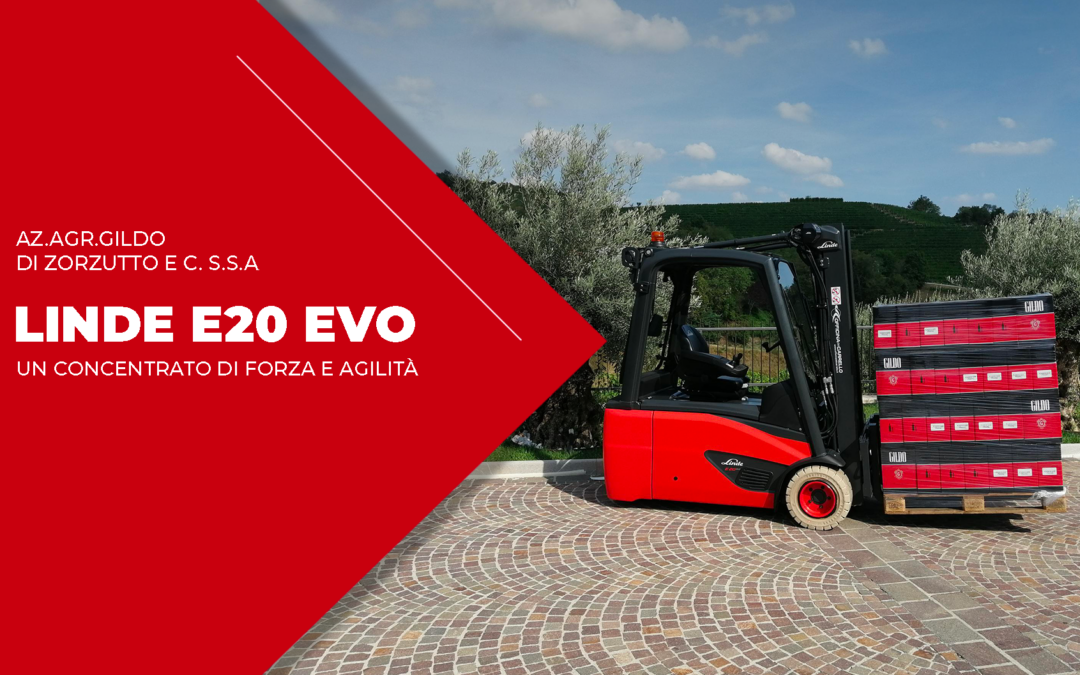 LINDE E20 EVO PER GILDO VINI