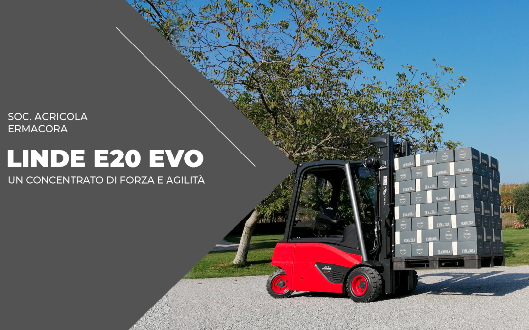 LINDE E20 EVO PER ERMACORA